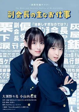 副会长的主要工作电视剧